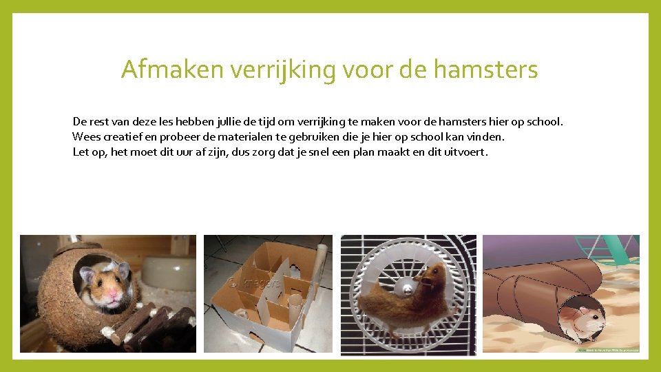 Afmaken verrijking voor de hamsters De rest van deze les hebben jullie de tijd