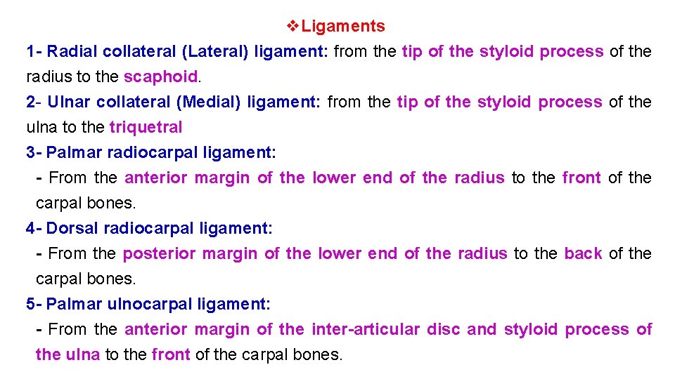 v. Ligaments 1 - Radial collateral (Lateral) ligament: from the tip of the styloid