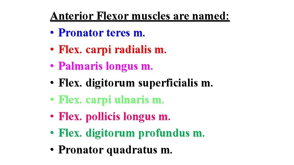 Anterior Flexor muscles are named: • Pronator teres m. • Flex. carpi radialis m.