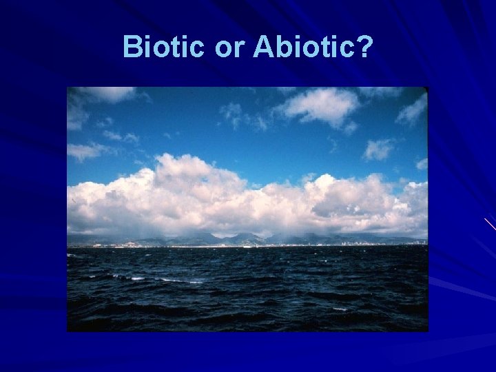 Biotic or Abiotic? 