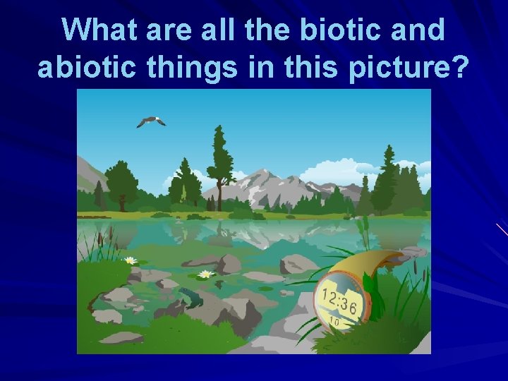 What are all the biotic and abiotic things in this picture? 