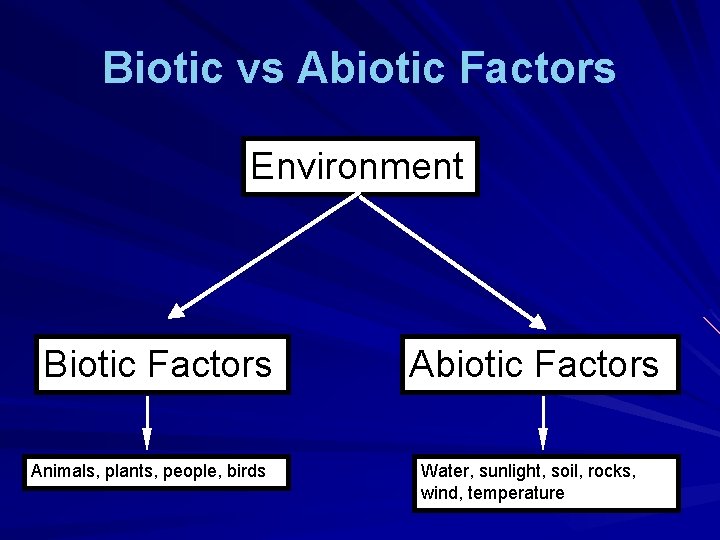 Biotic vs Abiotic Factors Environment Biotic Factors Animals, plants, people, birds Abiotic Factors Water, Biotic vs Abiotic Factors Environment Biotic Factors Animals, plants, people, birds Abiotic Factors Water,