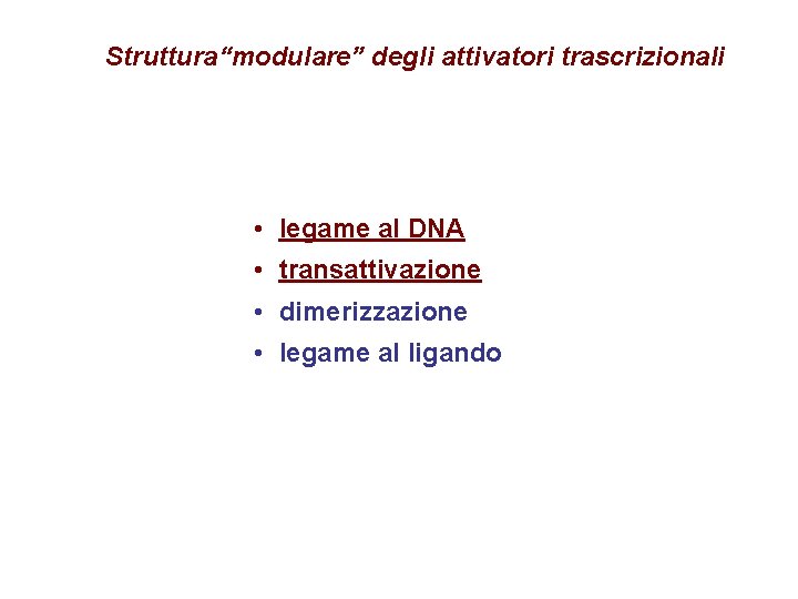 Struttura“modulare” degli attivatori trascrizionali • legame al DNA • transattivazione • dimerizzazione • legame