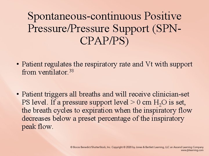 Spontaneous-continuous Positive Pressure/Pressure Support (SPNCPAP/PS) • Patient regulates the respiratory rate and Vt with