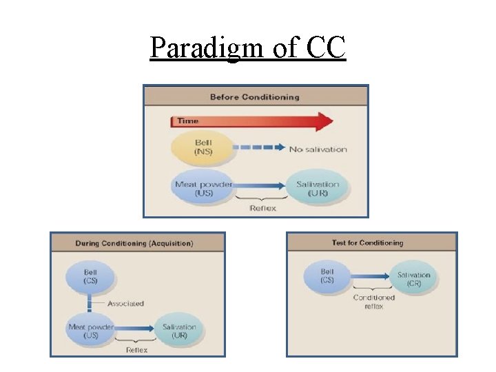 Paradigm of CC 