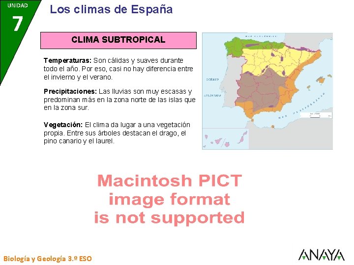UNIDAD 7 Los climas de España CLIMA SUBTROPICAL Temperaturas: Son cálidas y suaves durante