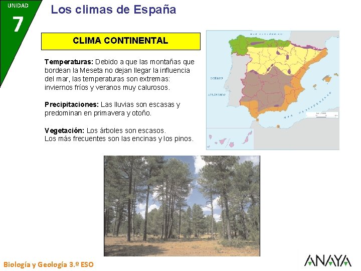 UNIDAD 7 Los climas de España CLIMA CONTINENTAL Temperaturas: Debido a que las montañas