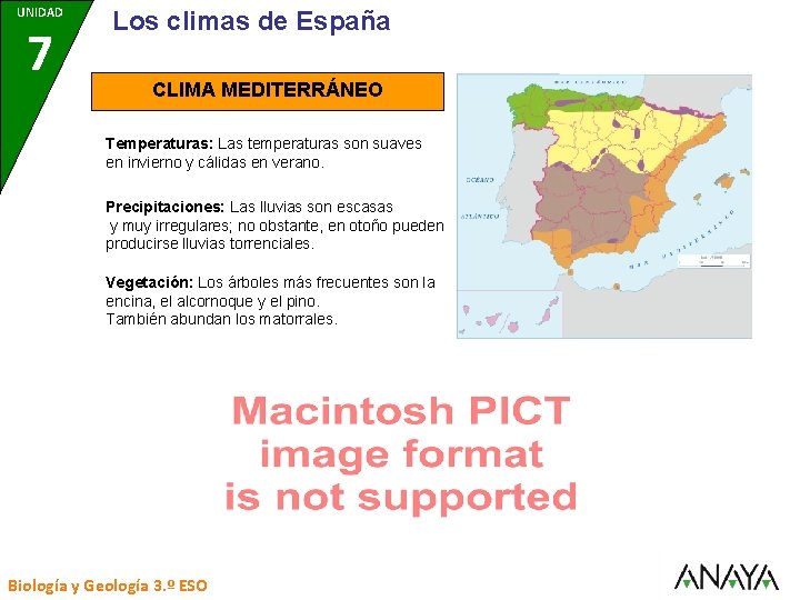 UNIDAD 7 Los climas de España CLIMA MEDITERRÁNEO Temperaturas: Las temperaturas son suaves en
