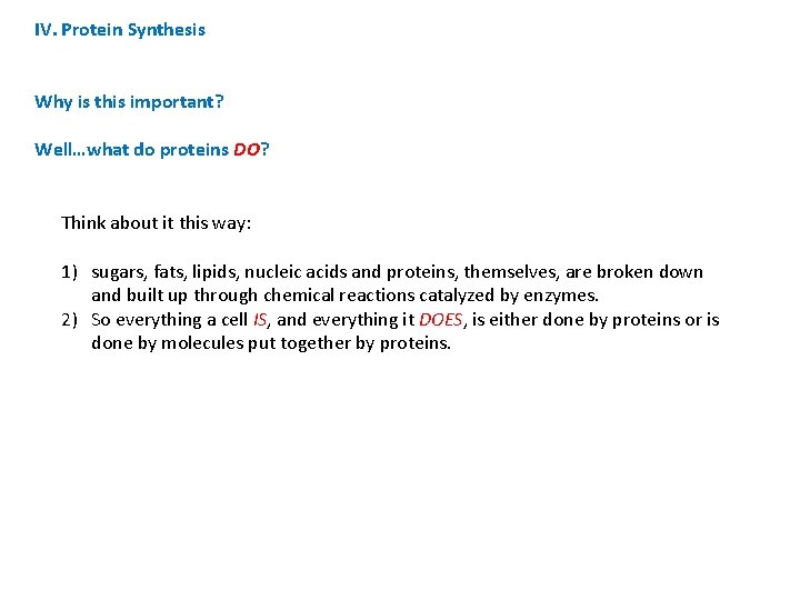 IV. Protein Synthesis Why is this important? Well…what do proteins DO? Think about it