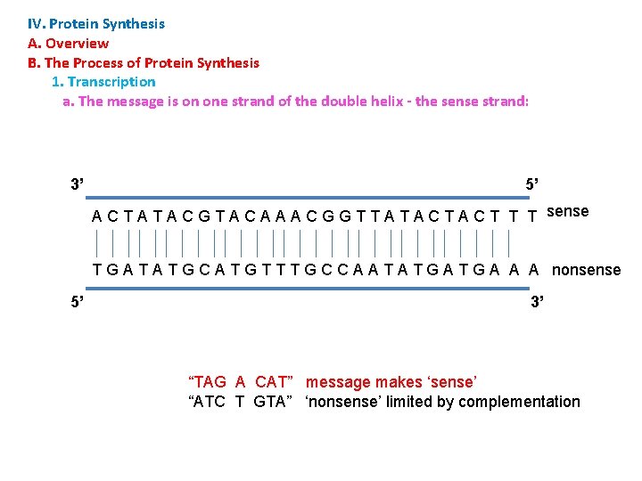 IV. Protein Synthesis A. Overview B. The Process of Protein Synthesis 1. Transcription a.
