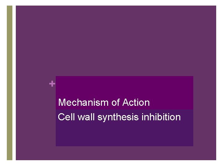 + Mechanism of Action Cell wall synthesis inhibition 