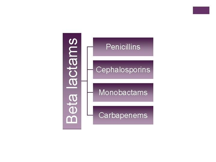 Beta lactams Penicillins Cephalosporins Monobactams Carbapenems 