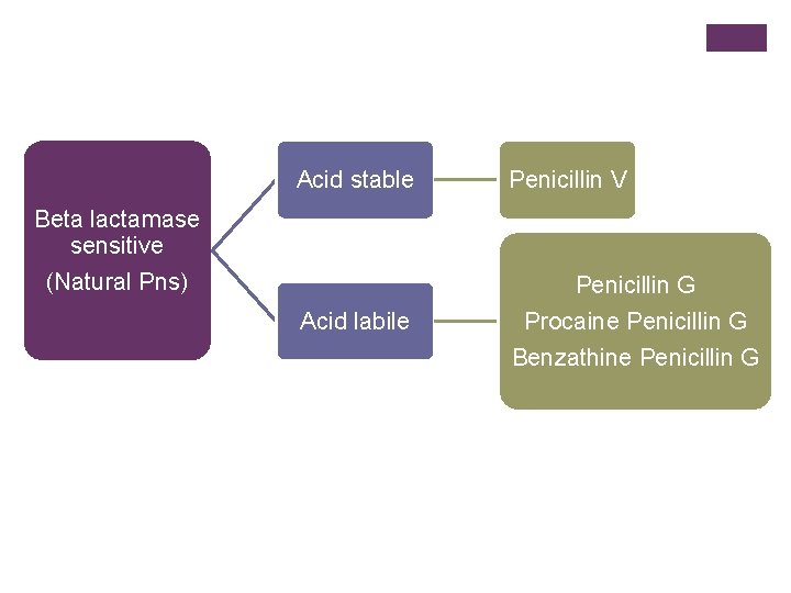 Acid stable Penicillin V Acid labile Penicillin G Procaine Penicillin G Benzathine Penicillin G