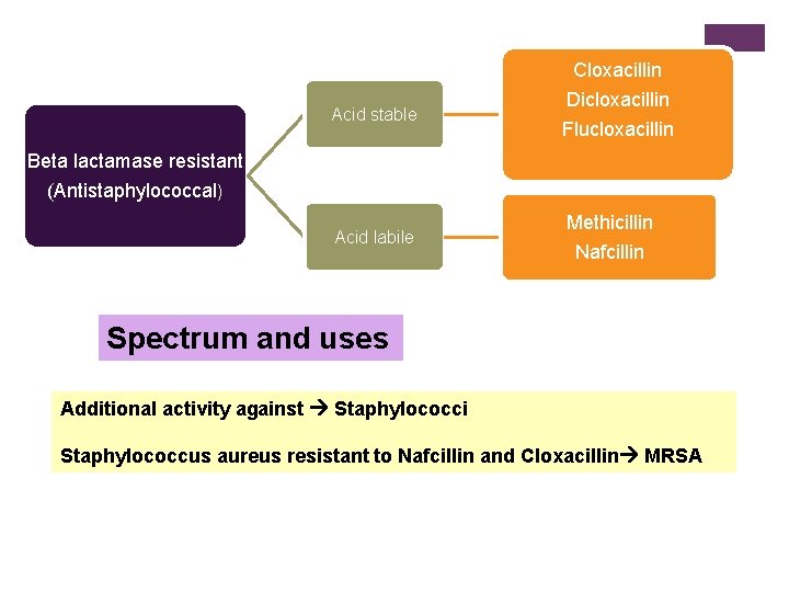 Cloxacillin Acid stable Dicloxacillin Flucloxacillin Beta lactamase resistant (Antistaphylococcal) Acid labile Methicillin Nafcillin Spectrum