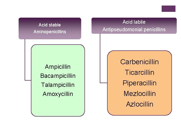 Acid stable Aminopenicillins Ampicillin Bacampicillin Talampicillin Amoxycillin Acid labile Antipseudomonial penicillins Carbenicillin Ticarcillin Piperacillin