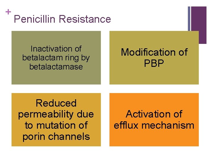 + Penicillin Resistance Inactivation of betalactam ring by betalactamase Modification of PBP Reduced permeability