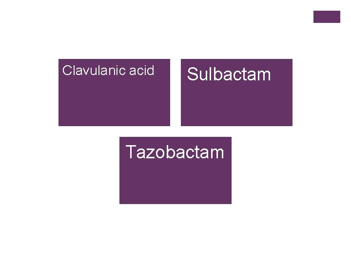 Clavulanic acid Sulbactam Tazobactam 