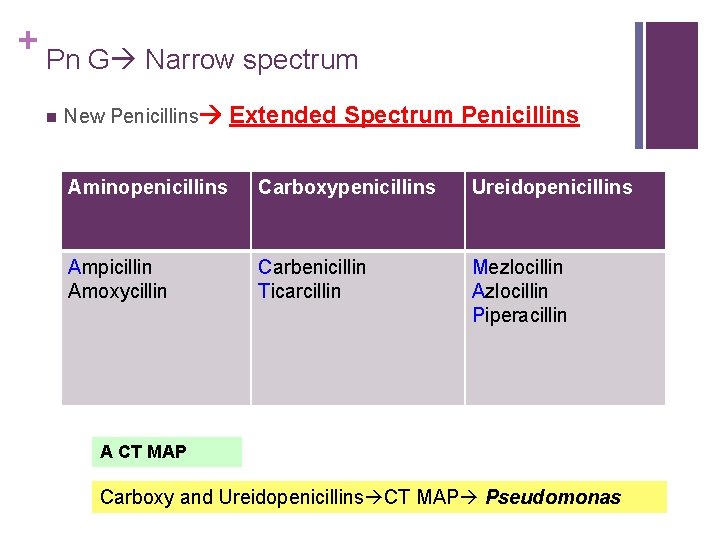 + Pn G Narrow spectrum n New Penicillins Extended Spectrum Penicillins Aminopenicillins Carboxypenicillins Ureidopenicillins