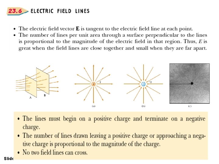 Slide 16 