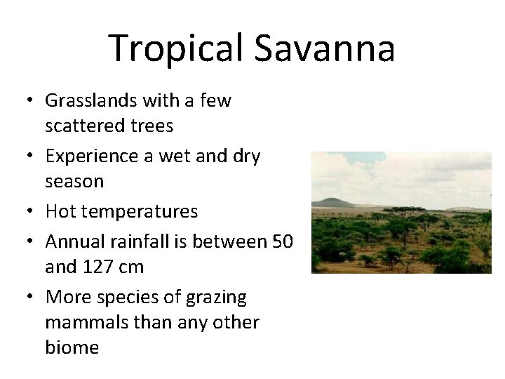 Tropical Savanna • Grasslands with a few scattered trees • Experience a wet and