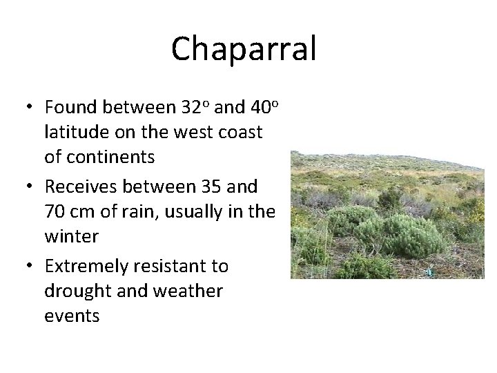 Chaparral • Found between 32 o and 40 o latitude on the west coast
