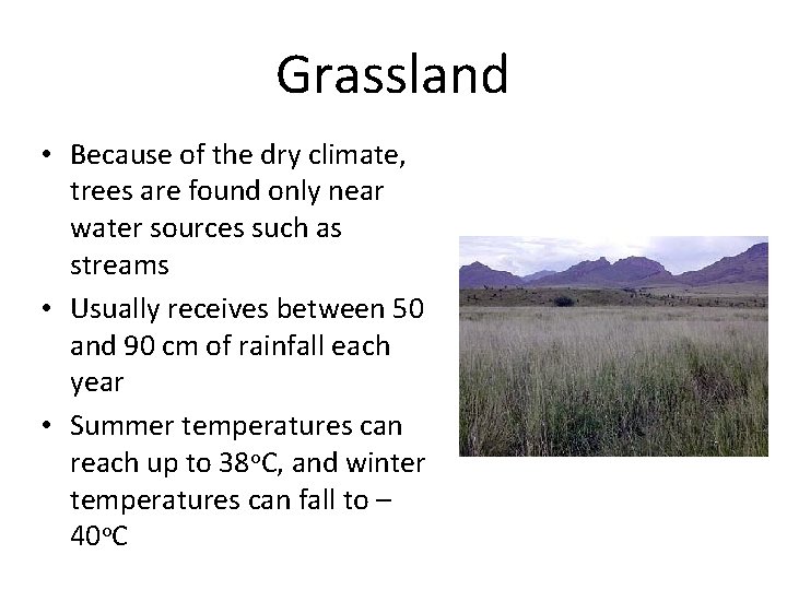 Grassland • Because of the dry climate, trees are found only near water sources