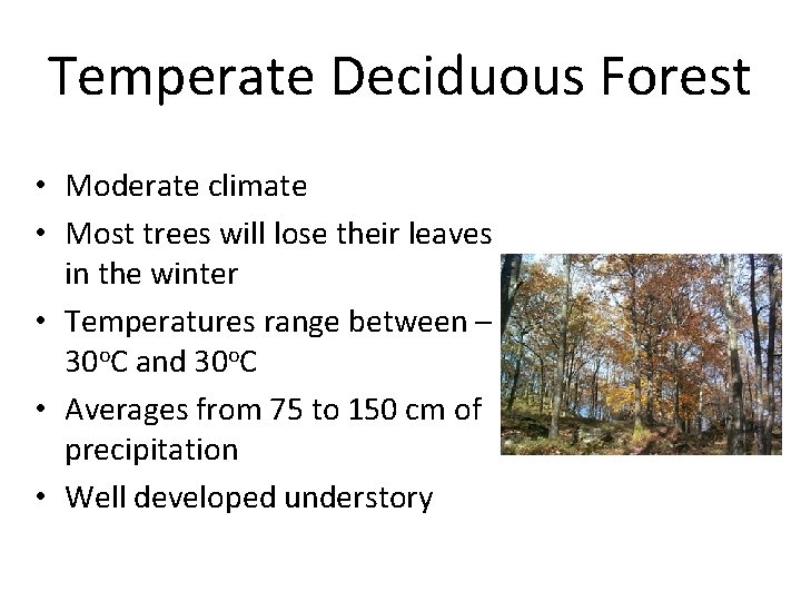 Temperate Deciduous Forest • Moderate climate • Most trees will lose their leaves in