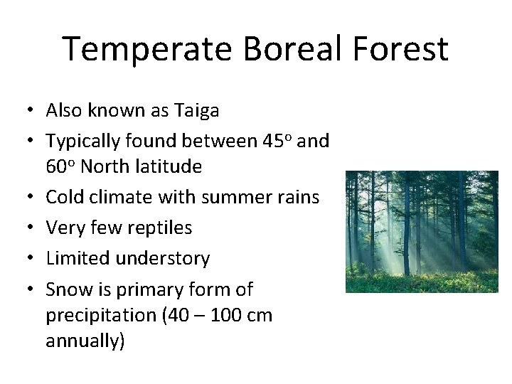 Temperate Boreal Forest • Also known as Taiga • Typically found between 45 o