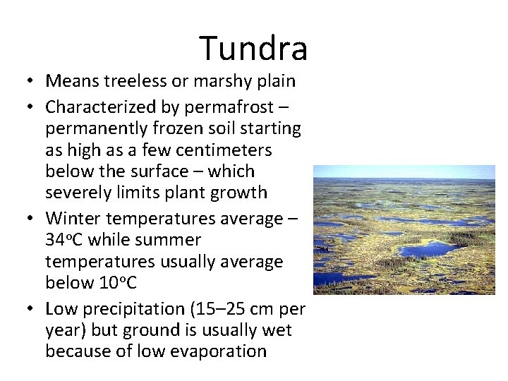 Tundra • Means treeless or marshy plain • Characterized by permafrost – permanently frozen