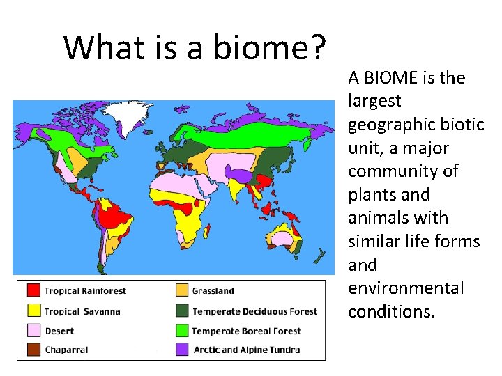 What is a biome? A BIOME is the largest geographic biotic unit, a major