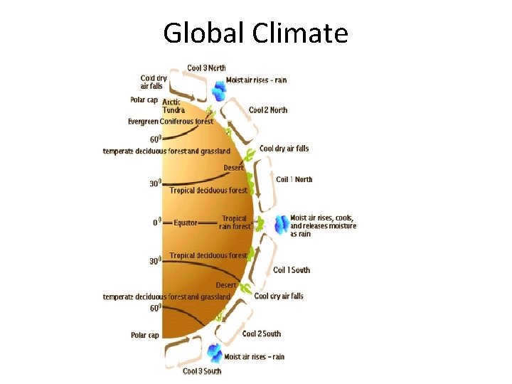 Global Climate 