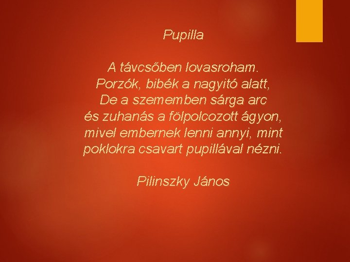 Pupilla A távcsőben lovasroham. Porzók, bibék a nagyitó alatt, De a szememben sárga arc