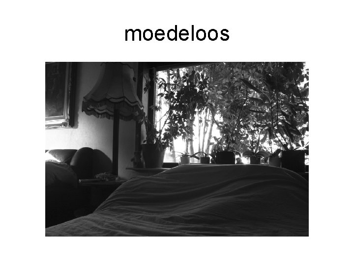 moedeloos 