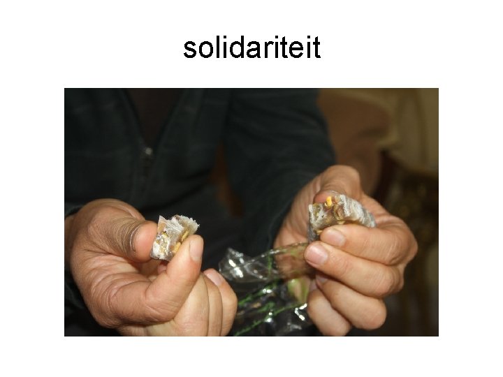 solidariteit 