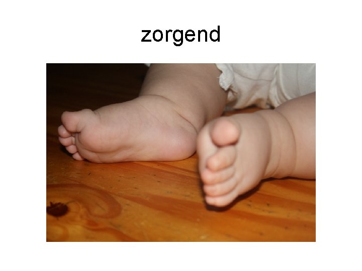 zorgend 