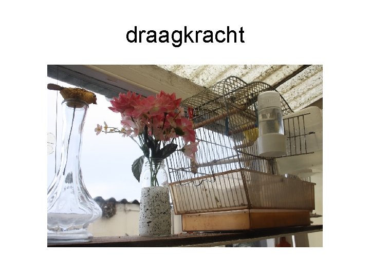 draagkracht 