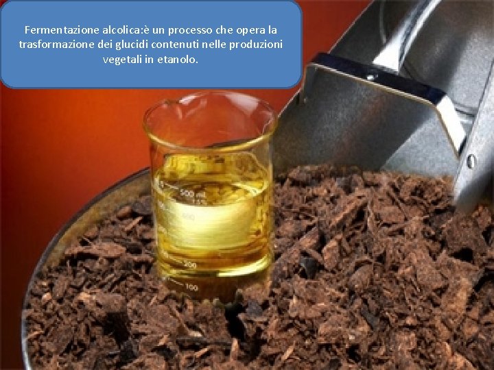 Fermentazione alcolica: è un processo che opera la trasformazione dei glucidi contenuti nelle produzioni