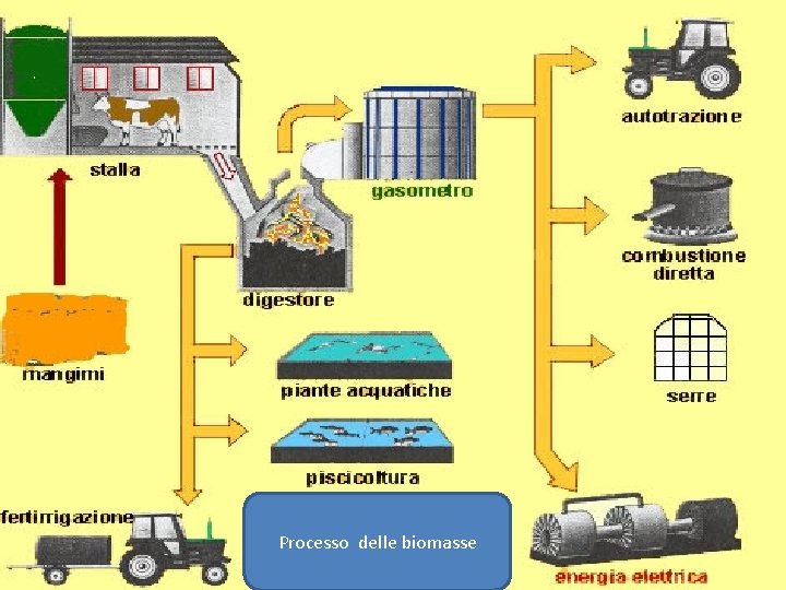 Processo delle biomasse 