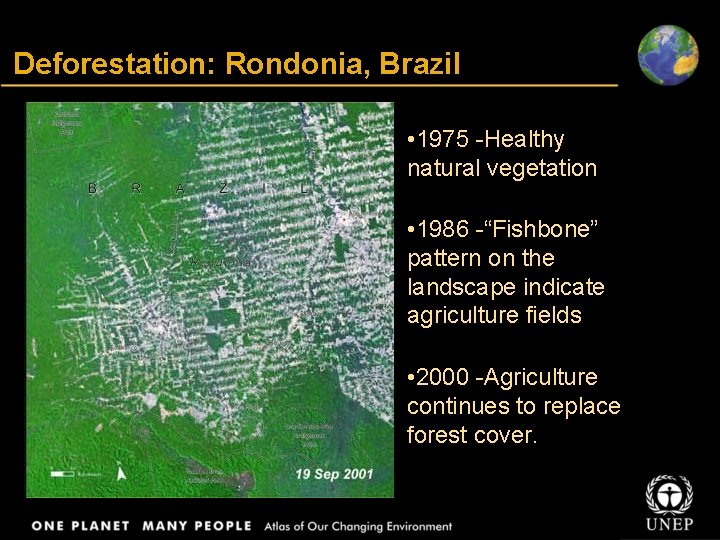 Title Deforestation: Rondonia, Brazil Body text • 1975 -Healthy natural vegetation • 1986 -“Fishbone”