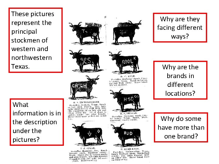 These pictures represent the principal stockmen of western and northwestern Texas. What information is