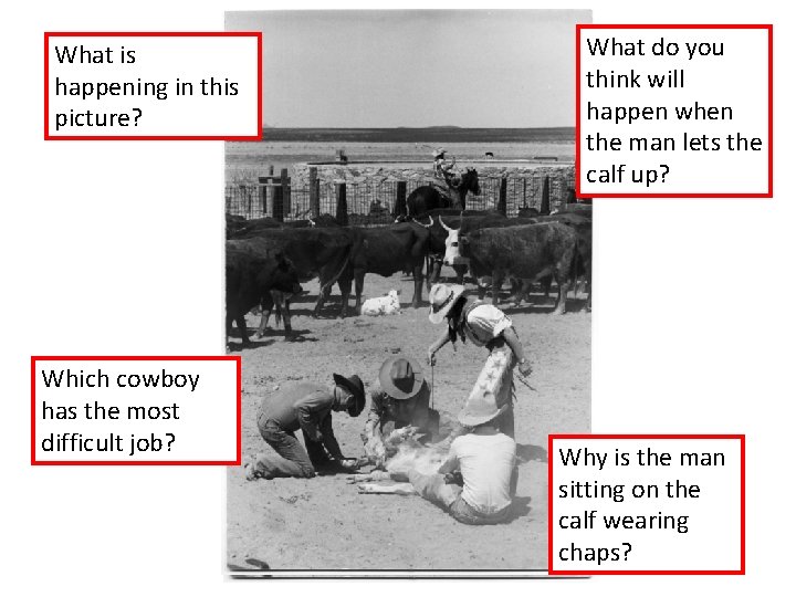 What is happening in this picture? Which cowboy has the most difficult job? What