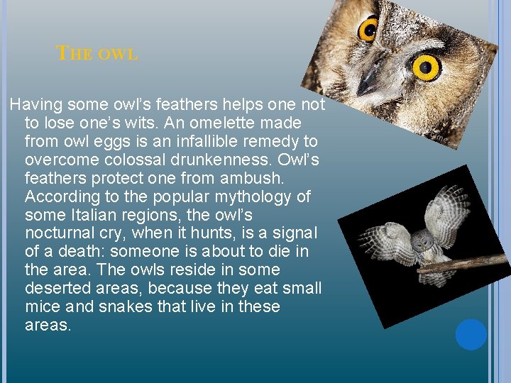 THE OWL Having some owl’s feathers helps one not to lose one’s wits. An