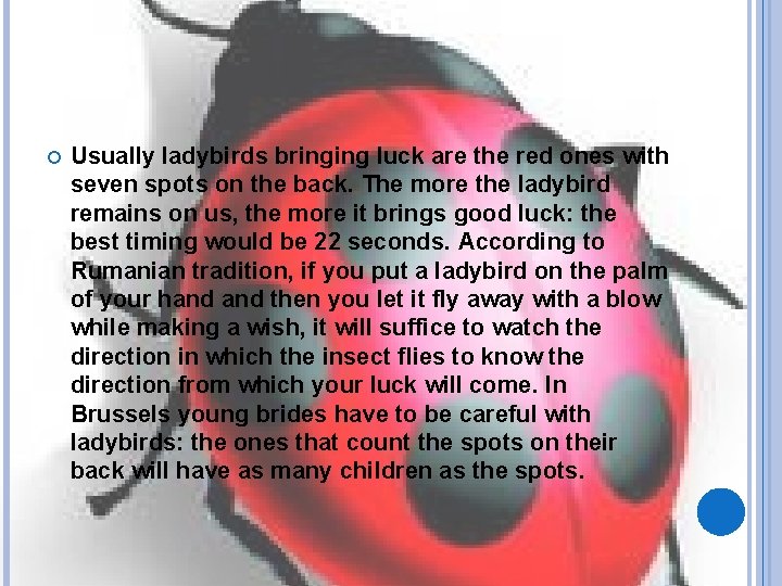  Usually ladybirds bringing luck are the red ones with seven spots on the