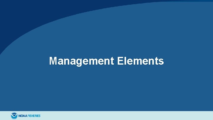 Management Elements 