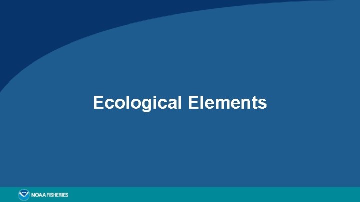 Ecological Elements 