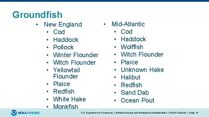 Groundfish • Mid-Atlantic • New England • Cod • Haddock • Wolffish • Pollock