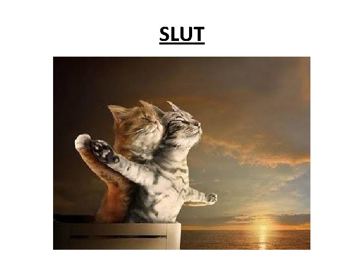 SLUT 