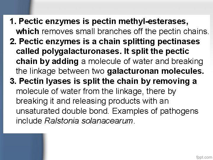 1. Pectic enzymes is pectin methyl-esterases, which removes small branches off the pectin chains.