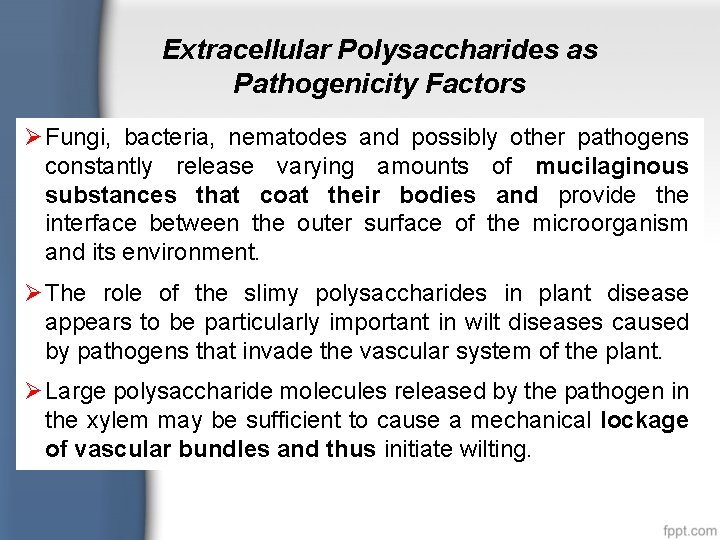 Extracellular Polysaccharides as Pathogenicity Factors Ø Fungi, bacteria, nematodes and possibly other pathogens constantly