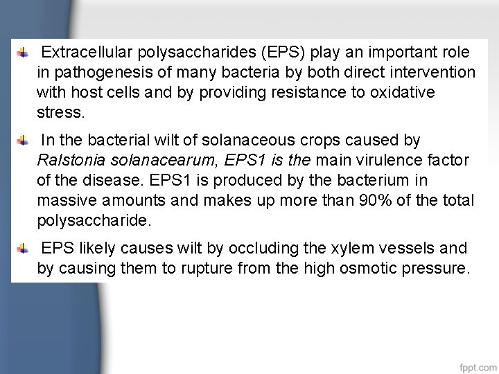 Extracellular polysaccharides (EPS) play an important role in pathogenesis of many bacteria by both